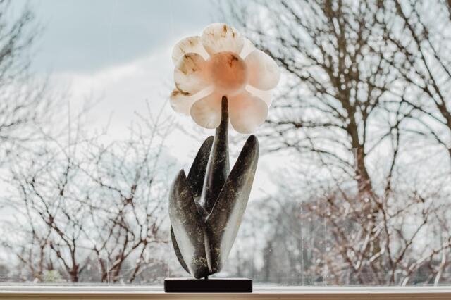 YogaWise voor individuele yoga coaching, groepslessen, verdieping in meditatie