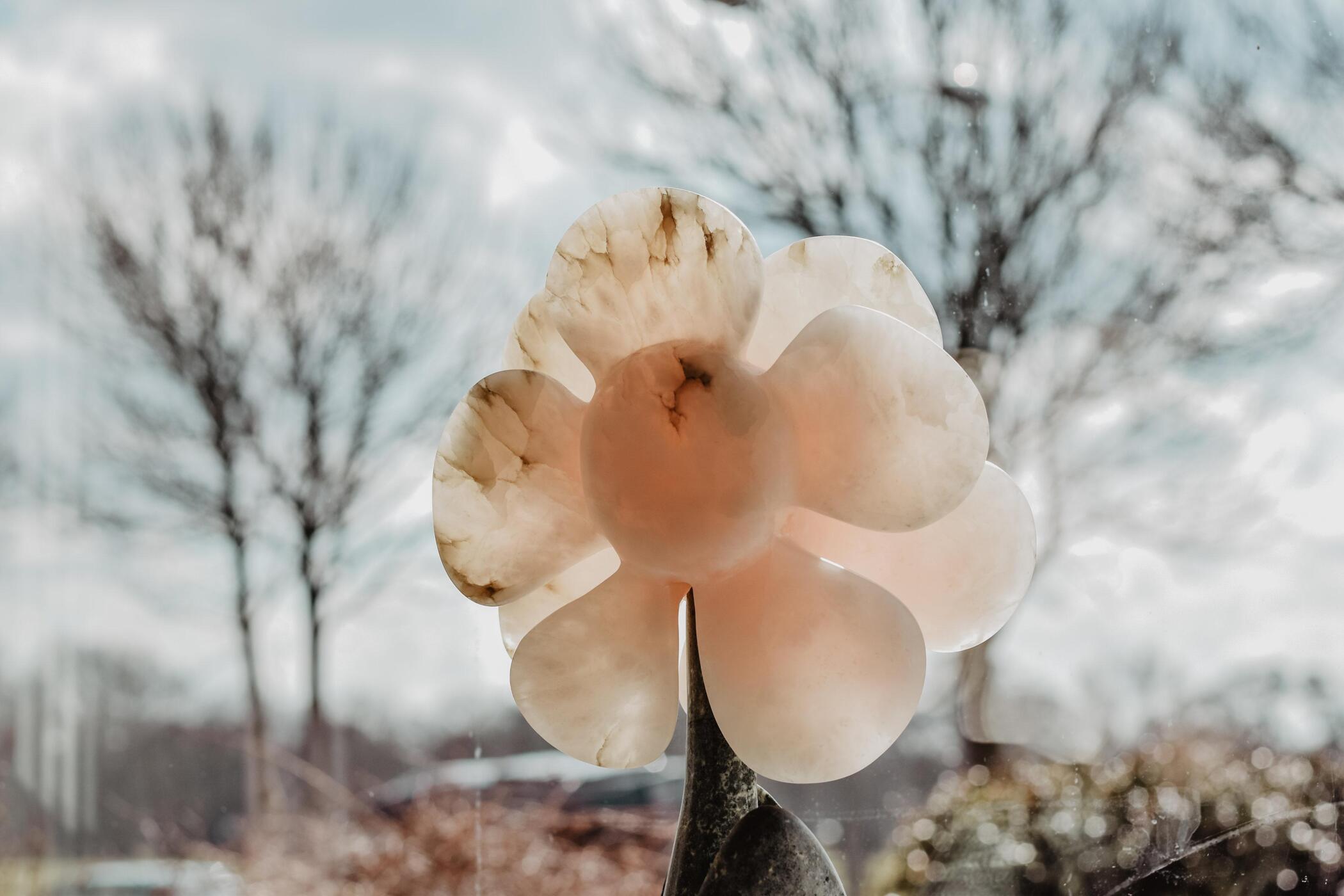 YogaWise voor leren mediteren, spiritualiteit, mindfullness